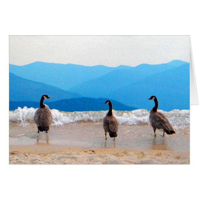 ¡Surf's Up! - Geese (Anverso (Horizontal))
