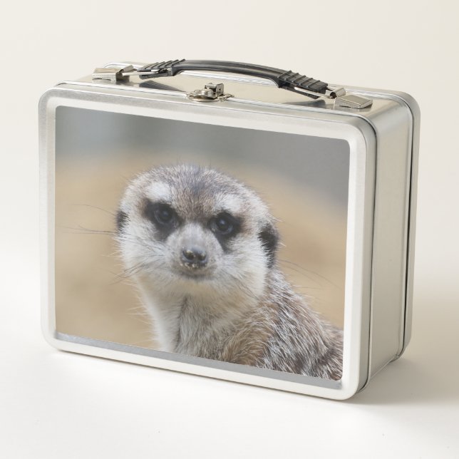 Suricata 022 (Anverso)