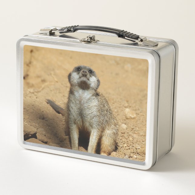 Suricata 031 (Anverso)