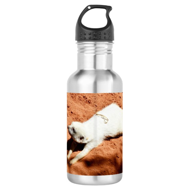 Suricata Blanca Estirándose, Botella de Agua (Anverso)