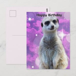 Suricata Con Brillo, Tarjeta De Cumpleaños