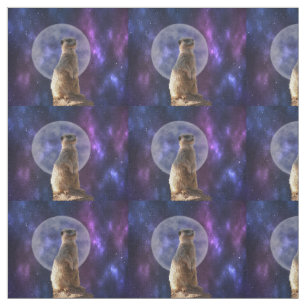 Suricata en una noche de luna llena, tela