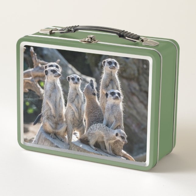 Suricatas  (Anverso)