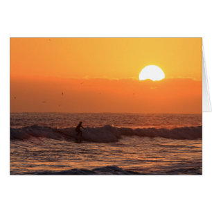 Surtido de sol