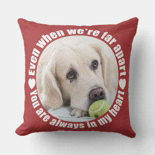 SUS almohadas de tiro lejos separadas del amor de