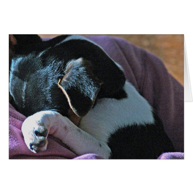 SUS PENSAMIENTOS (Anverso (Horizontal))