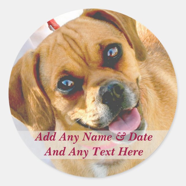 Sus Propias Pegatinas De Fotografía Y Texto Person (Anverso)