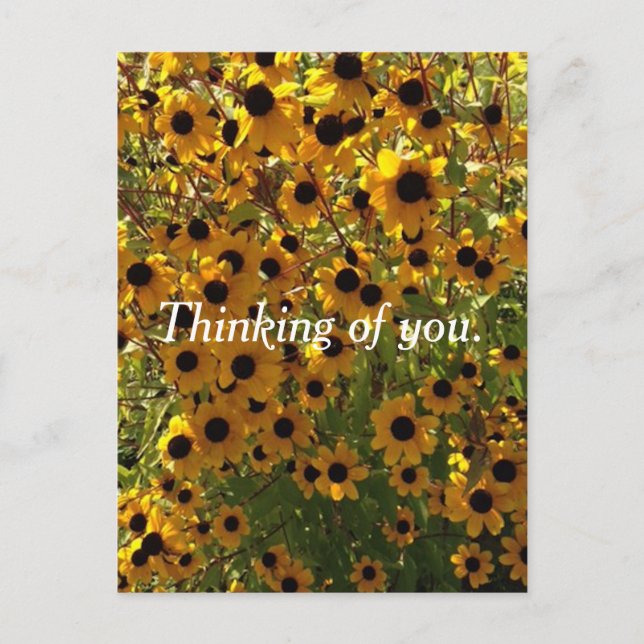 Susan Black Eyed Flowers pensando en tus postales (Anverso)