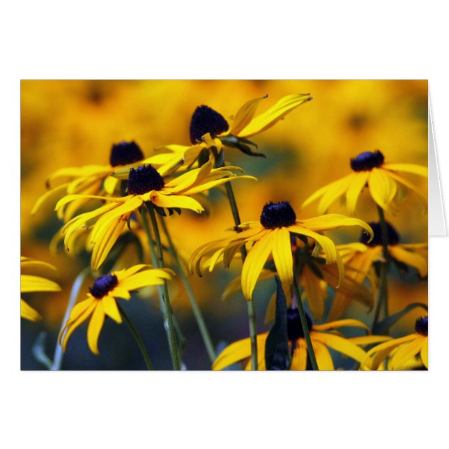 Susan Card de ojos negros (Anverso (Horizontal))