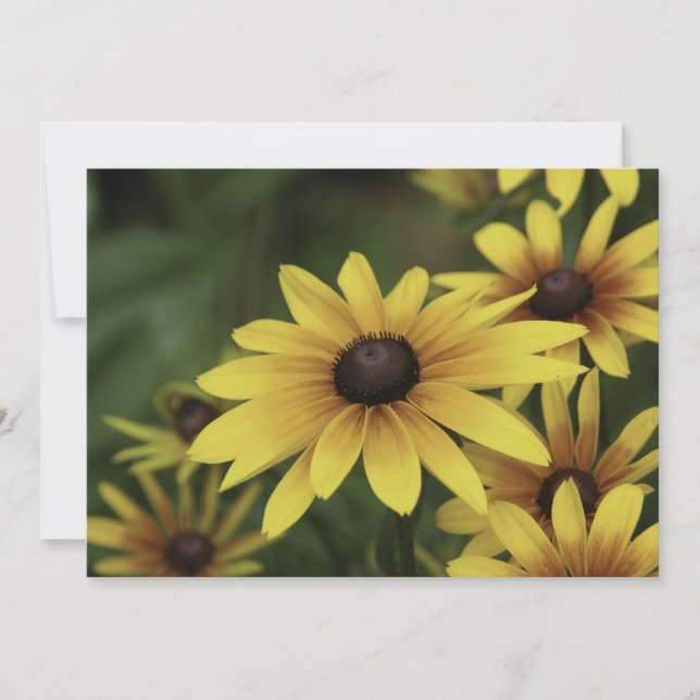 Susan de ojos negros - Tarjeta de saludo plana (Anverso)