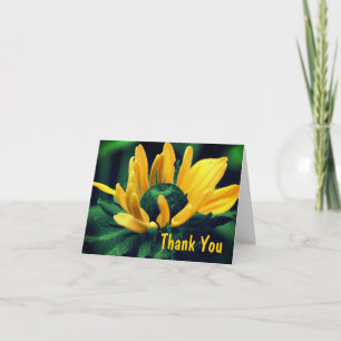 Susan Flower Black Eyed Resumen de Gracias Tarjeta