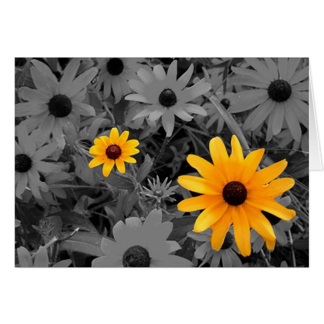 Susans observado negro (Anverso (Horizontal))