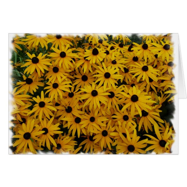 Susans observado negro (Anverso (Horizontal))
