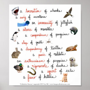 Sustantivos colectivos: posters
