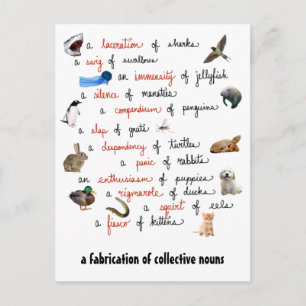 Sustantivos colectivos: tarjetas postales