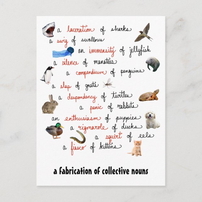 Sustantivos colectivos: tarjetas postales (Anverso)
