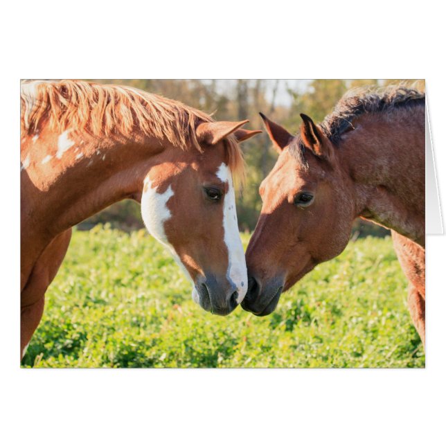 Susurro (Anverso (Horizontal))