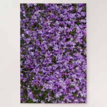 Susurros Violetas en Flor – Rompecabezas de 1014 P