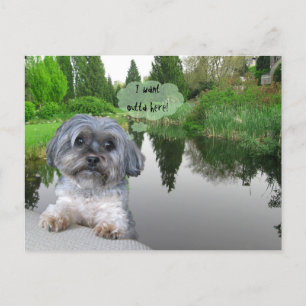 Sutcliffe Park, Vancouver, tarjeta postal BC