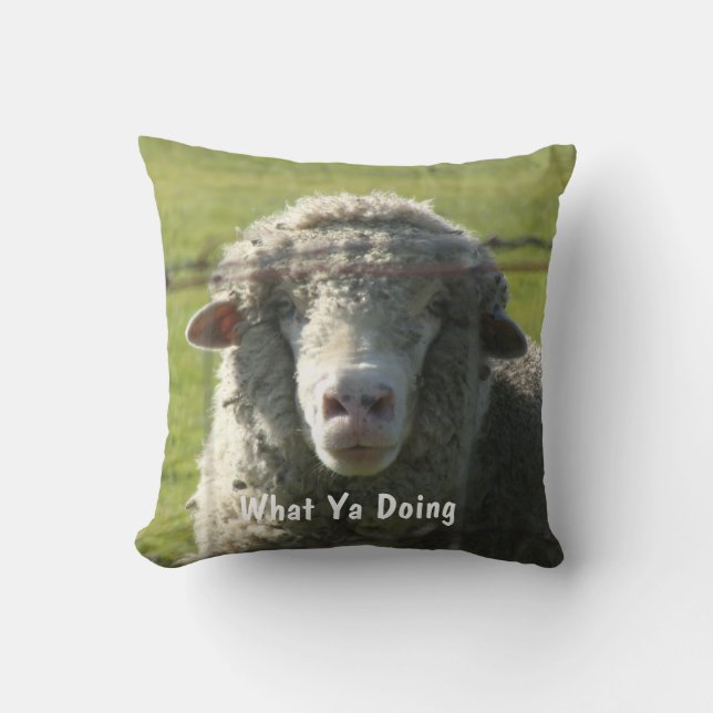 Sutter Buttes Mountain Sierra curiosa almohada de  (Anverso)