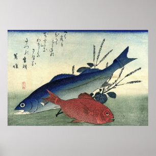 Suzuki y Kimmedai: Impresión japonesa de pescado d