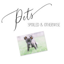 Spoiled Pets