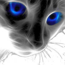 Crazy Cat World