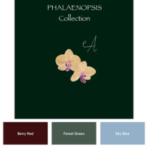 Phalaenopsis Collection