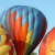 Bluebird Can Fly Photos*