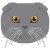 PetDesignShopArt