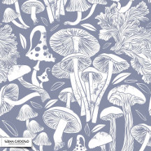 Delicious autumn poison mushrooms toadstool fungi 
