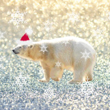 Winter/Christmas