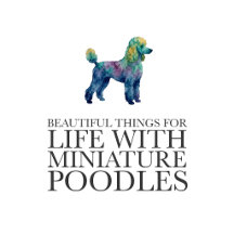 Miniature Poodle Gifts & Accessories