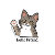 SkootyCatStore