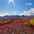YukonDreams