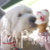 Pets_Passion