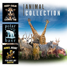 Animal-Collection