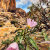 Planet_Pix