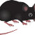 Molespignoses