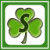 Shamrockz