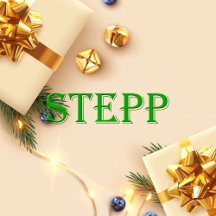 Stepp Name Shirt Stepp_collection