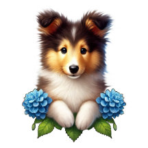 Collie Inspired Gifts & Decor