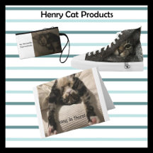 Henry Cat
