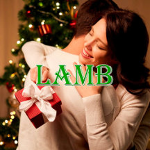 Lamb_Name T-Shirt