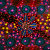 Sienna's Desert Art Gift Shop