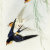 Japan_vintage_design