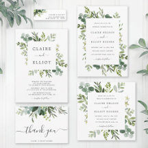 Eucalyptus Green Foliage Collection