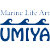 UMIYA Zazzle Store