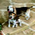 BeagleRescue