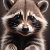 The Raccoon Room